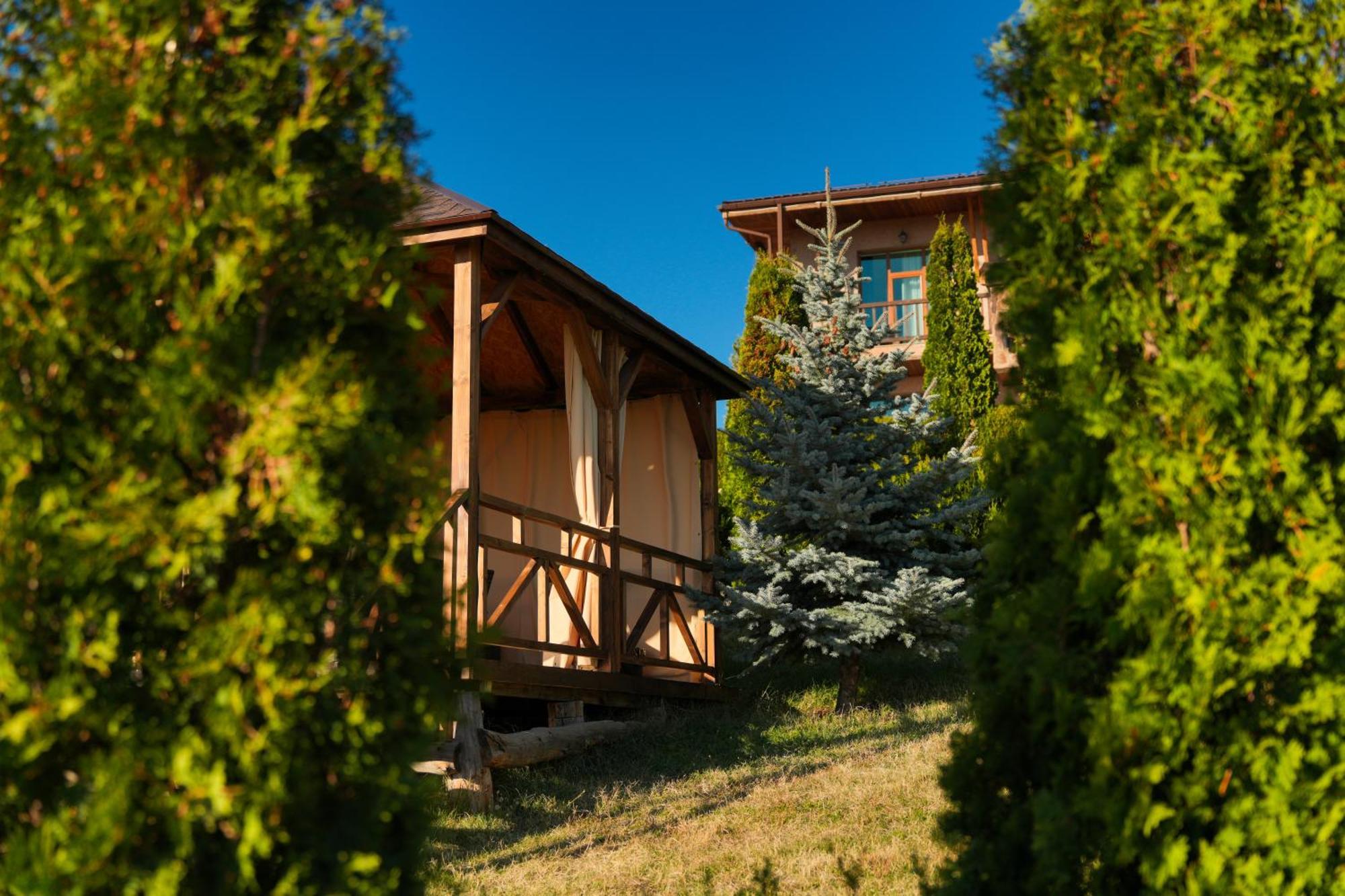 Hotel Amberd 3*